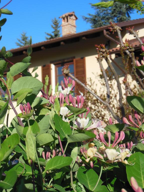 Agriturismo Affittacamere Barbarossa Dogliani Εξωτερικό φωτογραφία