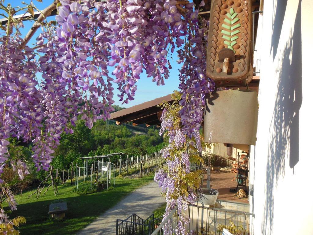 Agriturismo Affittacamere Barbarossa Dogliani Εξωτερικό φωτογραφία